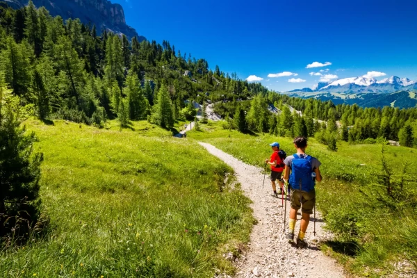 Due persone fanno escursioni su un sentiero di montagna verdeggiante in una giornata soleggiata.